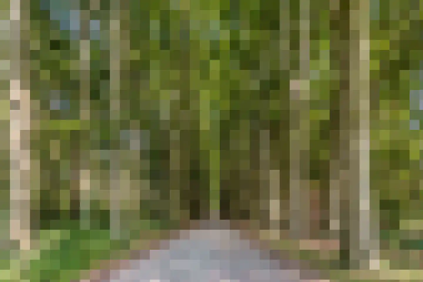 Hazenpad 7 Wilhelminaoord thumbnail 43