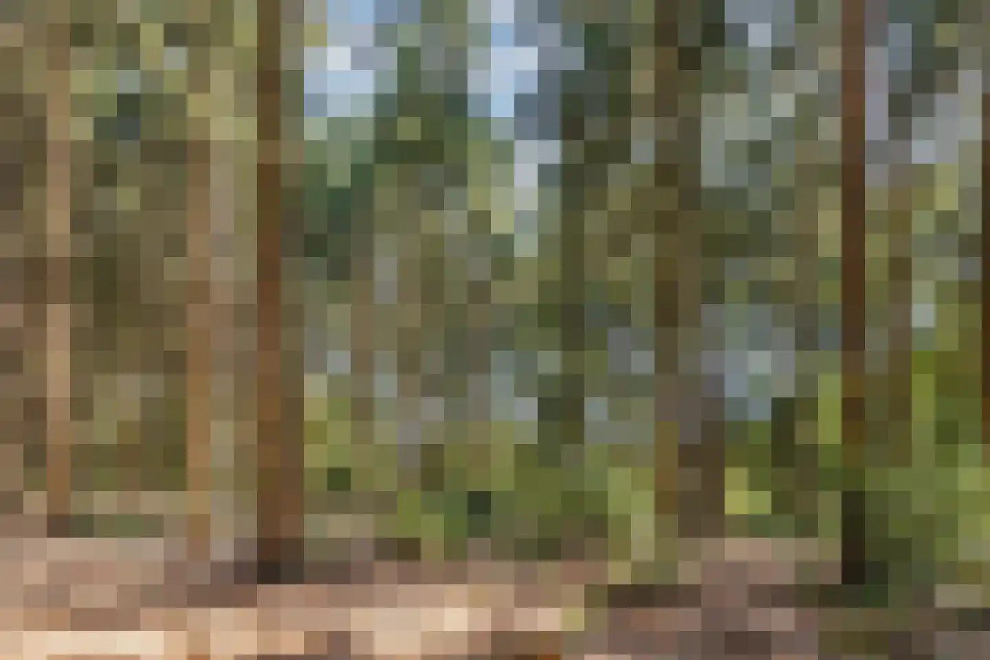 Hazenpad 7 Wilhelminaoord thumbnail 44