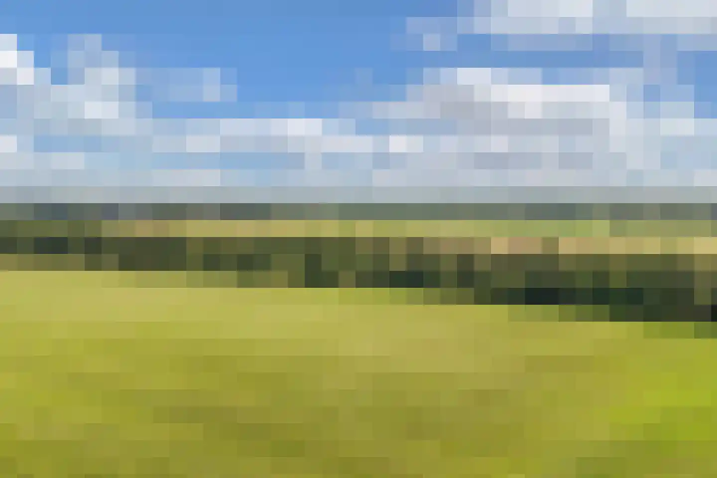Hazenpad 7 Wilhelminaoord thumbnail 45