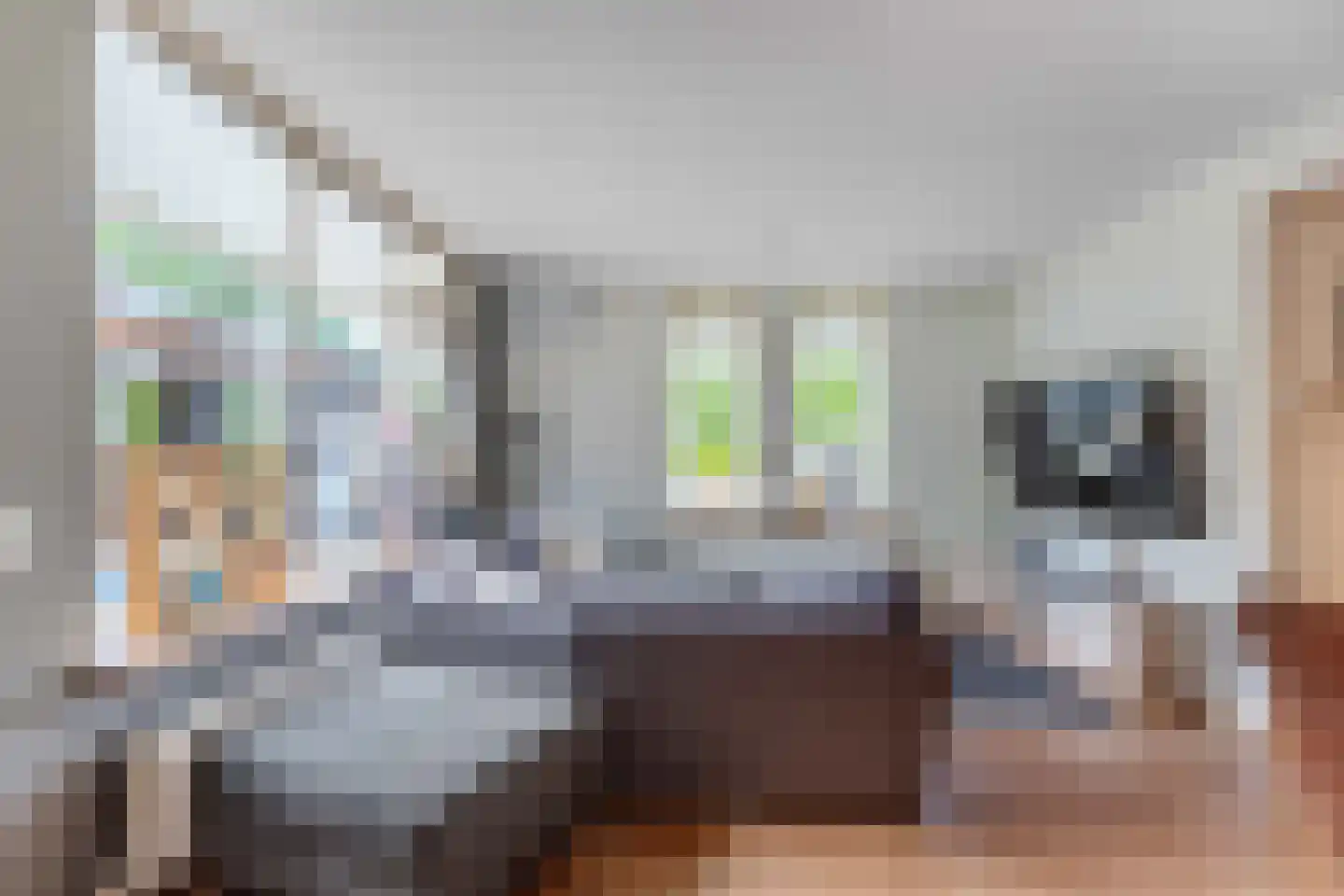 Hazenpad 7 Wilhelminaoord thumbnail 9