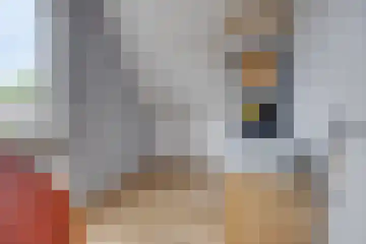Hazenpad 8 Wilhelminaoord thumbnail 17
