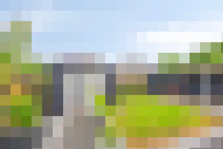 Hazenpad 8 Wilhelminaoord thumbnail 24