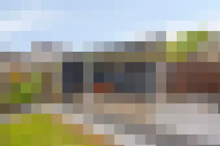 Hazenpad 8 Wilhelminaoord thumbnail 25