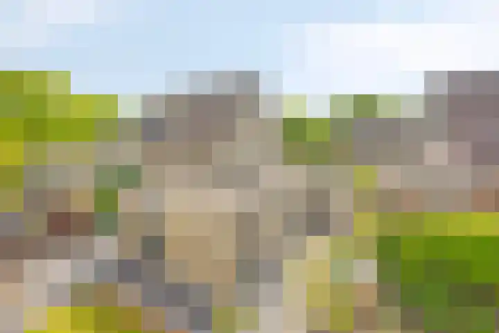 Hazenpad 8 Wilhelminaoord thumbnail 27