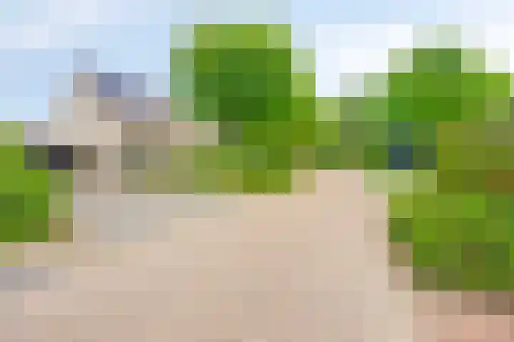 Hazenpad 8 Wilhelminaoord thumbnail 28