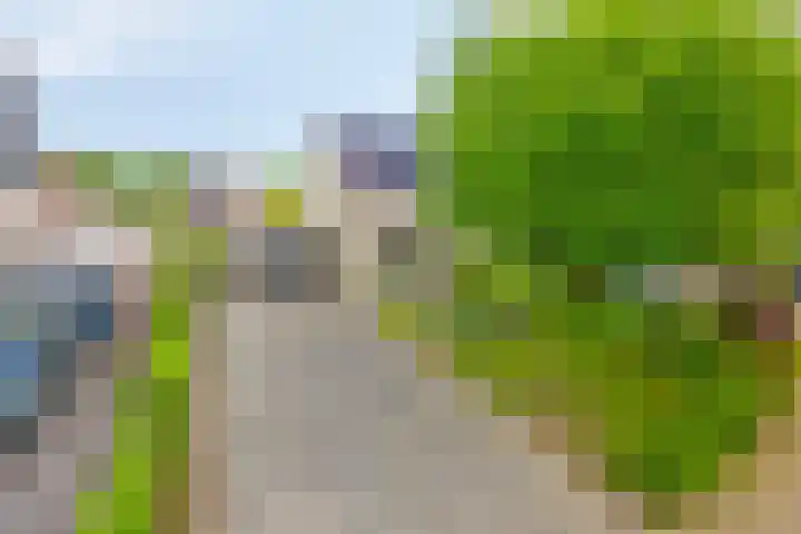 Hazenpad 8 Wilhelminaoord thumbnail 29