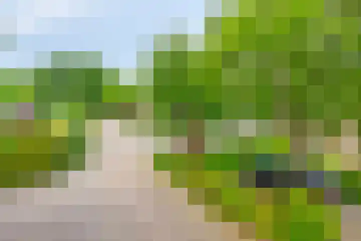 Hazenpad 8 Wilhelminaoord thumbnail 30