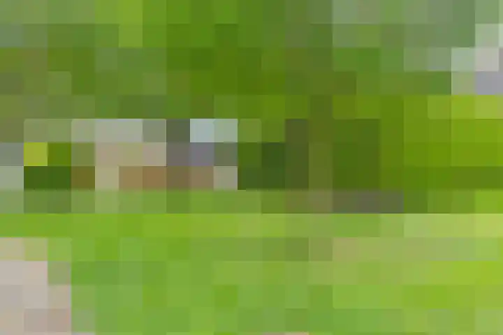 Hazenpad 8 Wilhelminaoord thumbnail 31