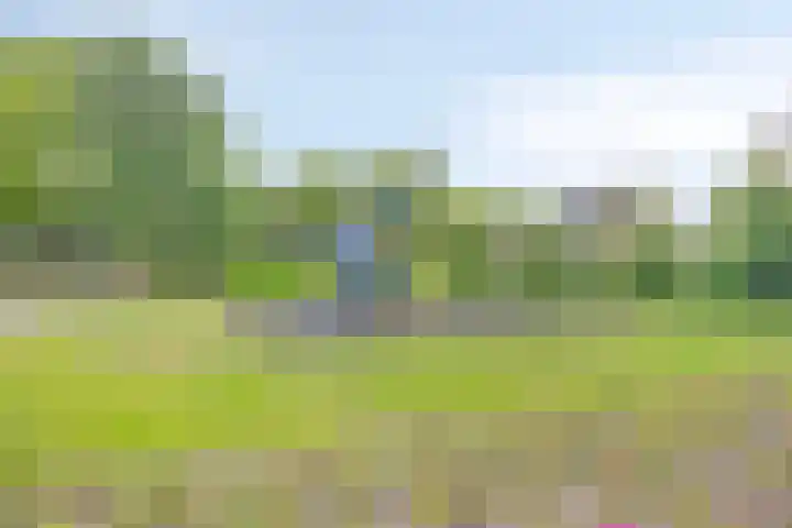 Hazenpad 8 Wilhelminaoord thumbnail 32