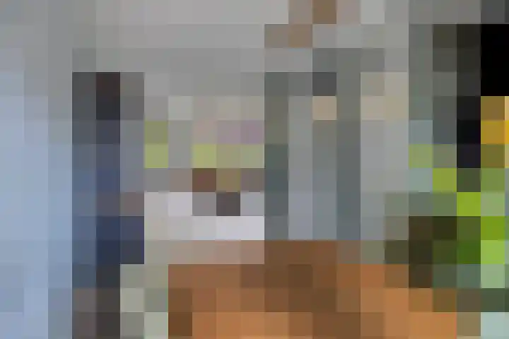 Hazenpad 8 Wilhelminaoord thumbnail 6