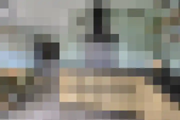 Hazenpad 8 Wilhelminaoord thumbnail 9