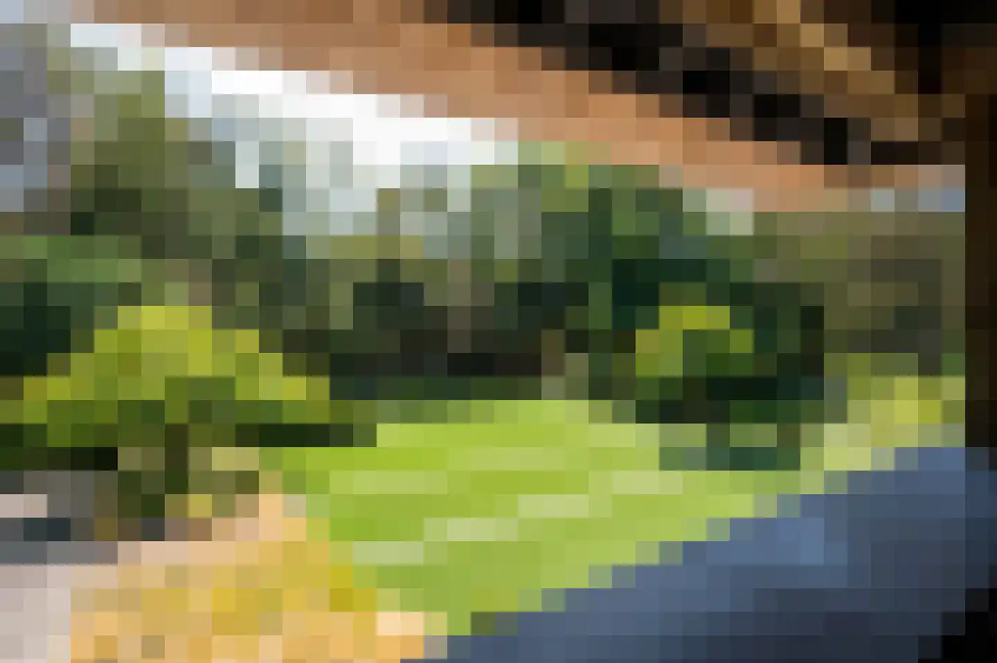 Hazenputten 1 Sint-Oedenrode thumbnail 31