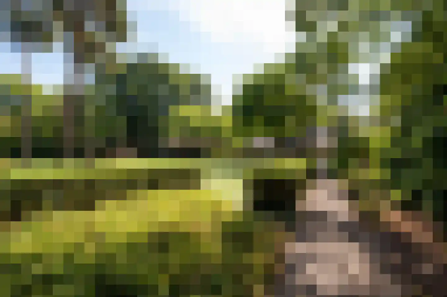 Hazenputten 1 Sint-Oedenrode thumbnail 46