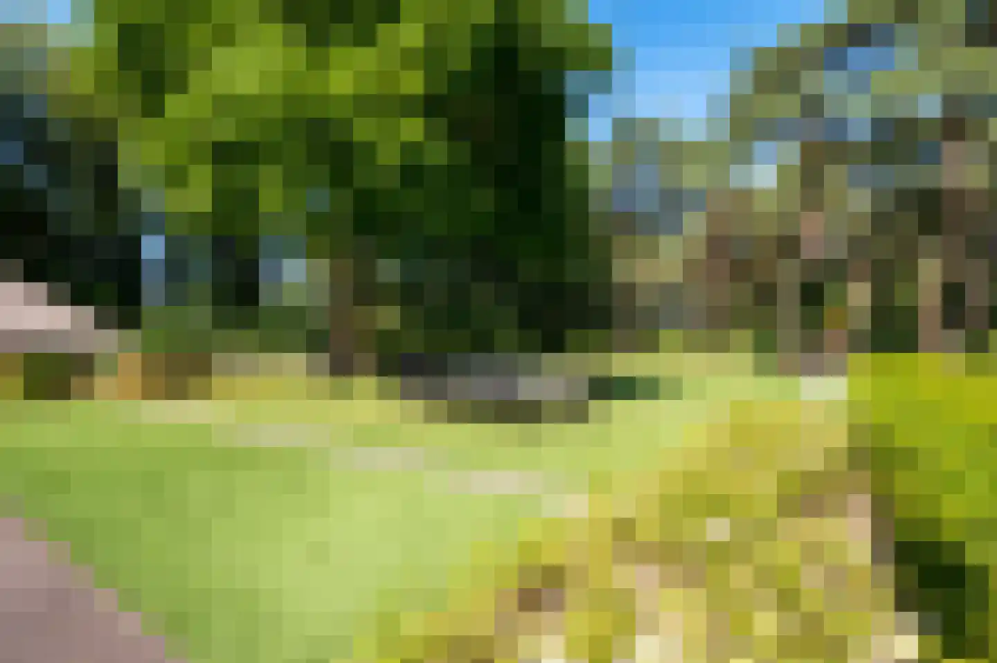 Hazenputten 1 Sint-Oedenrode thumbnail 5