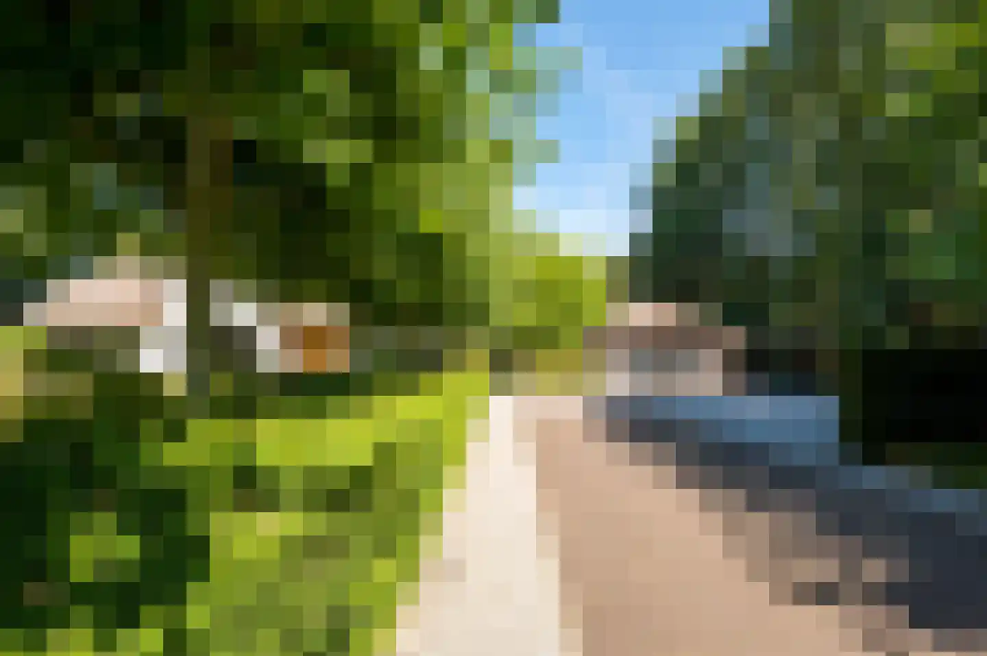 Hazenputten 1 Sint-Oedenrode thumbnail 54