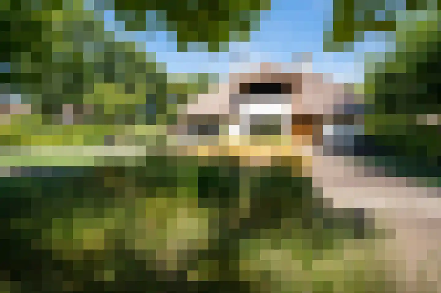 Hazenputten 1 Sint-Oedenrode thumbnail 55