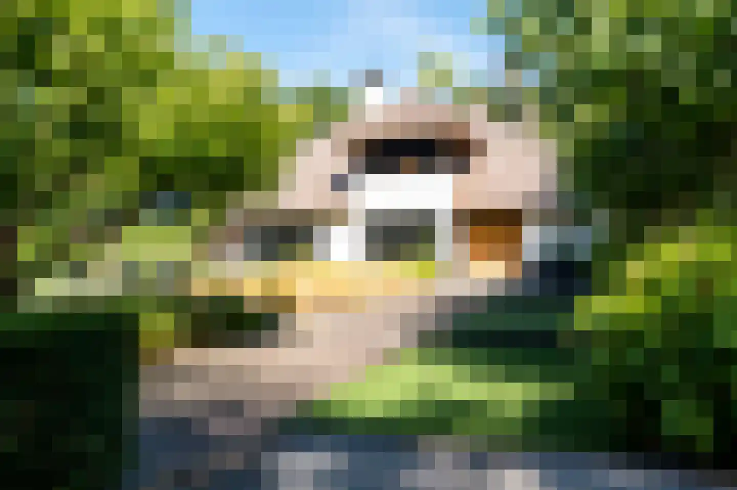 Hazenputten 1 Sint-Oedenrode thumbnail 7