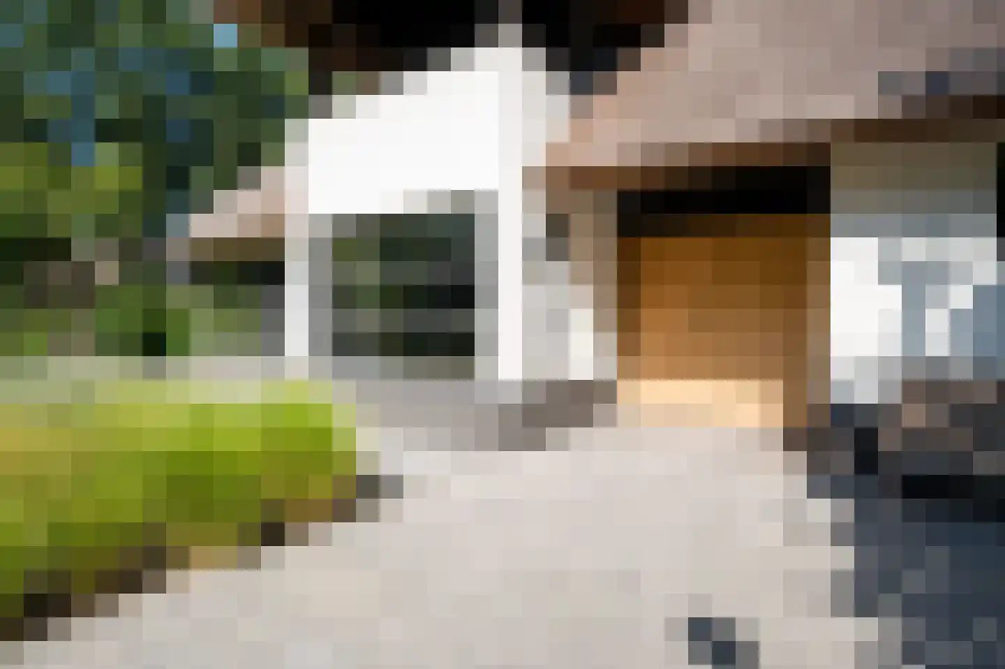 Hazenputten 1 Sint-Oedenrode thumbnail 9