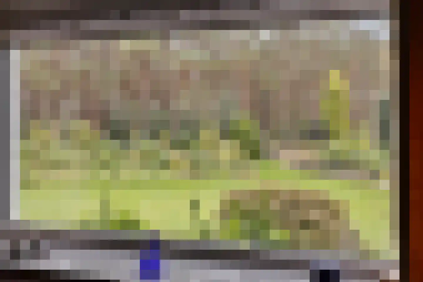 Hazenputten 17 Sint-Oedenrode thumbnail 10