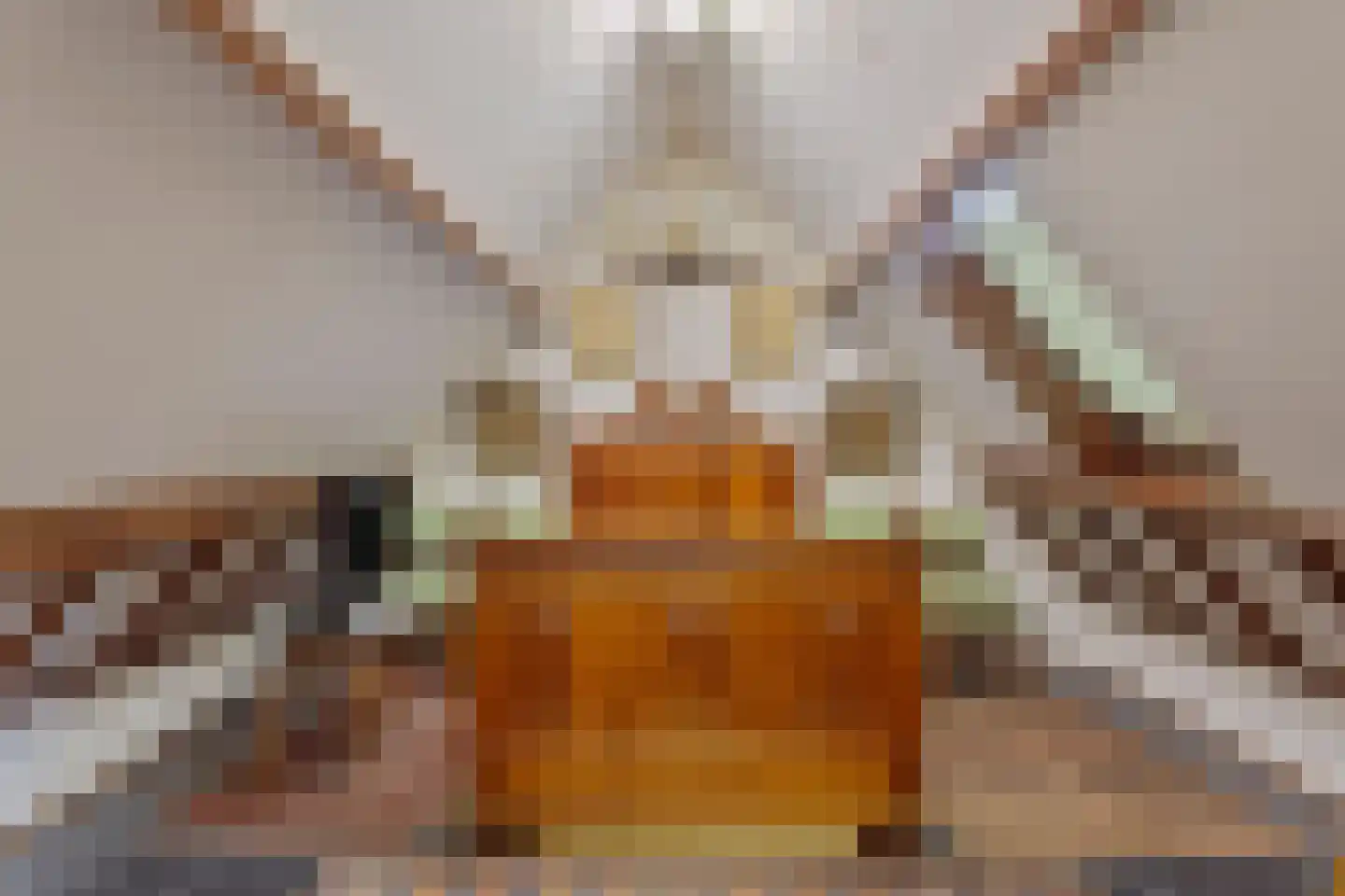 Hazenputten 17 Sint-Oedenrode thumbnail 24