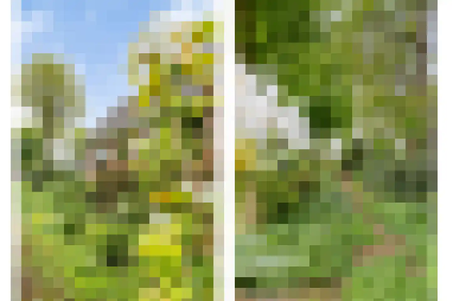 Hazenputten 17 Sint-Oedenrode thumbnail 33