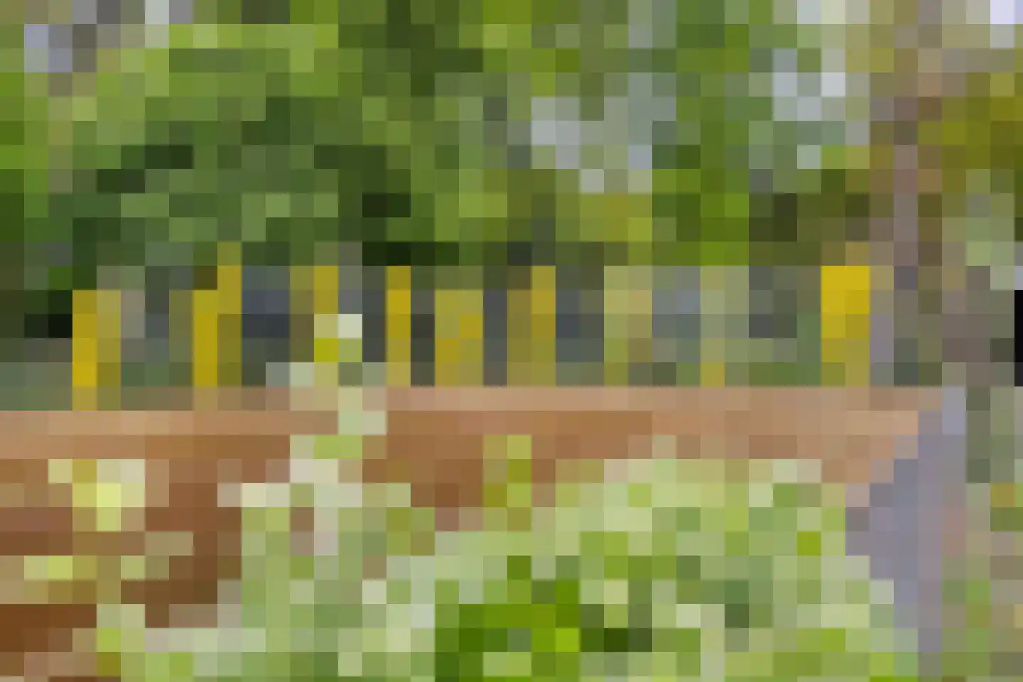 Hazenputten 17 Sint-Oedenrode thumbnail 38