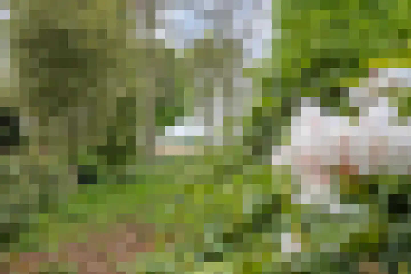 Hazenputten 17 Sint-Oedenrode thumbnail 39