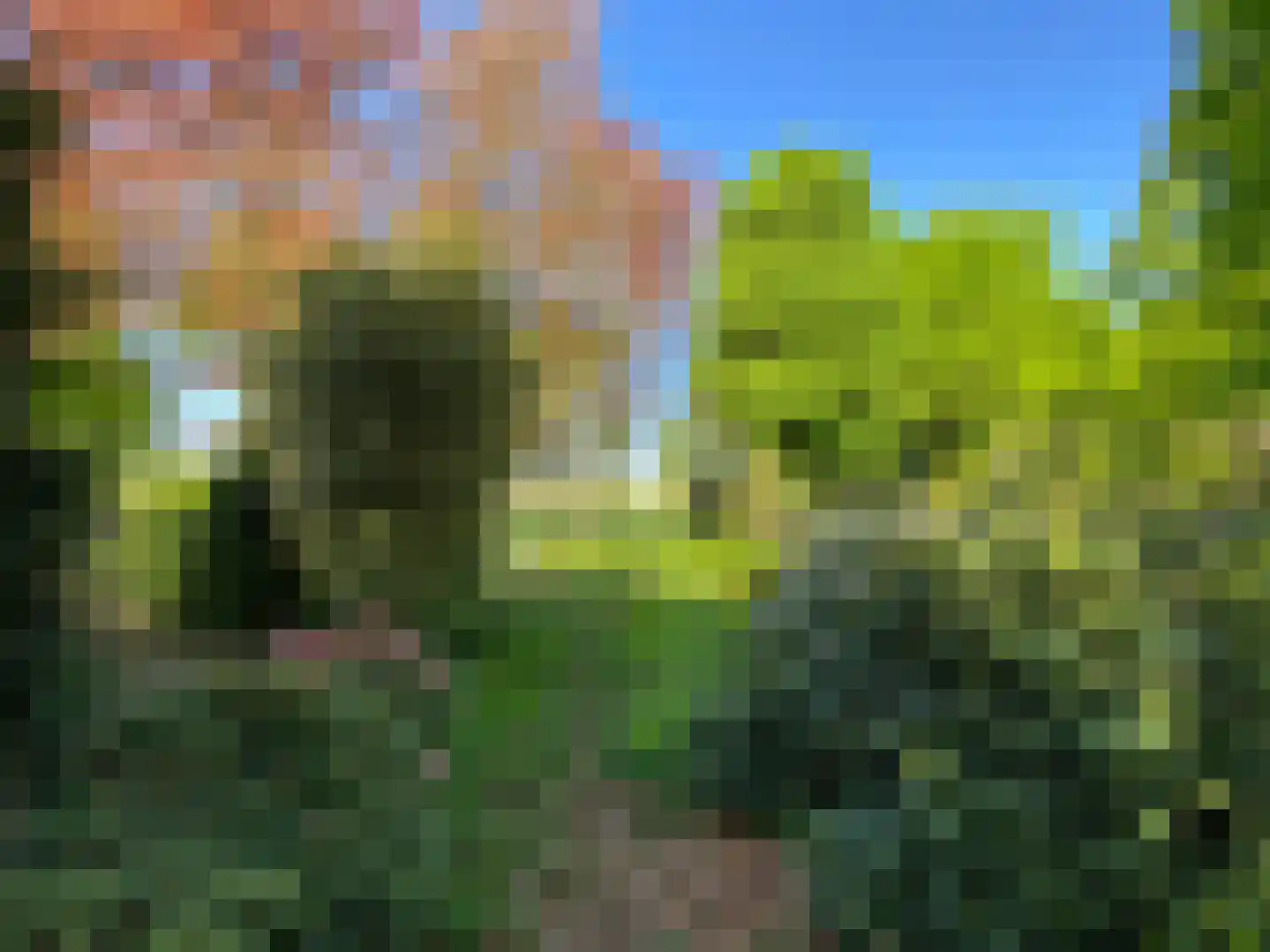 Hazenputten 17 Sint-Oedenrode thumbnail 4