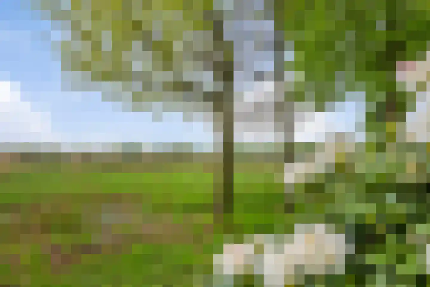 Hazenputten 17 Sint-Oedenrode thumbnail 40