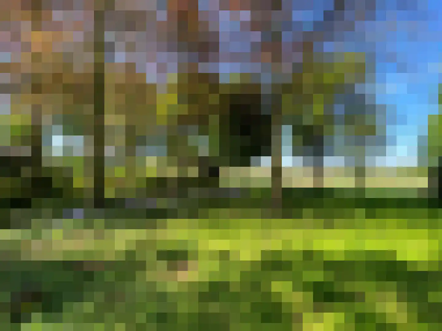Hazenputten 17 Sint-Oedenrode thumbnail 41