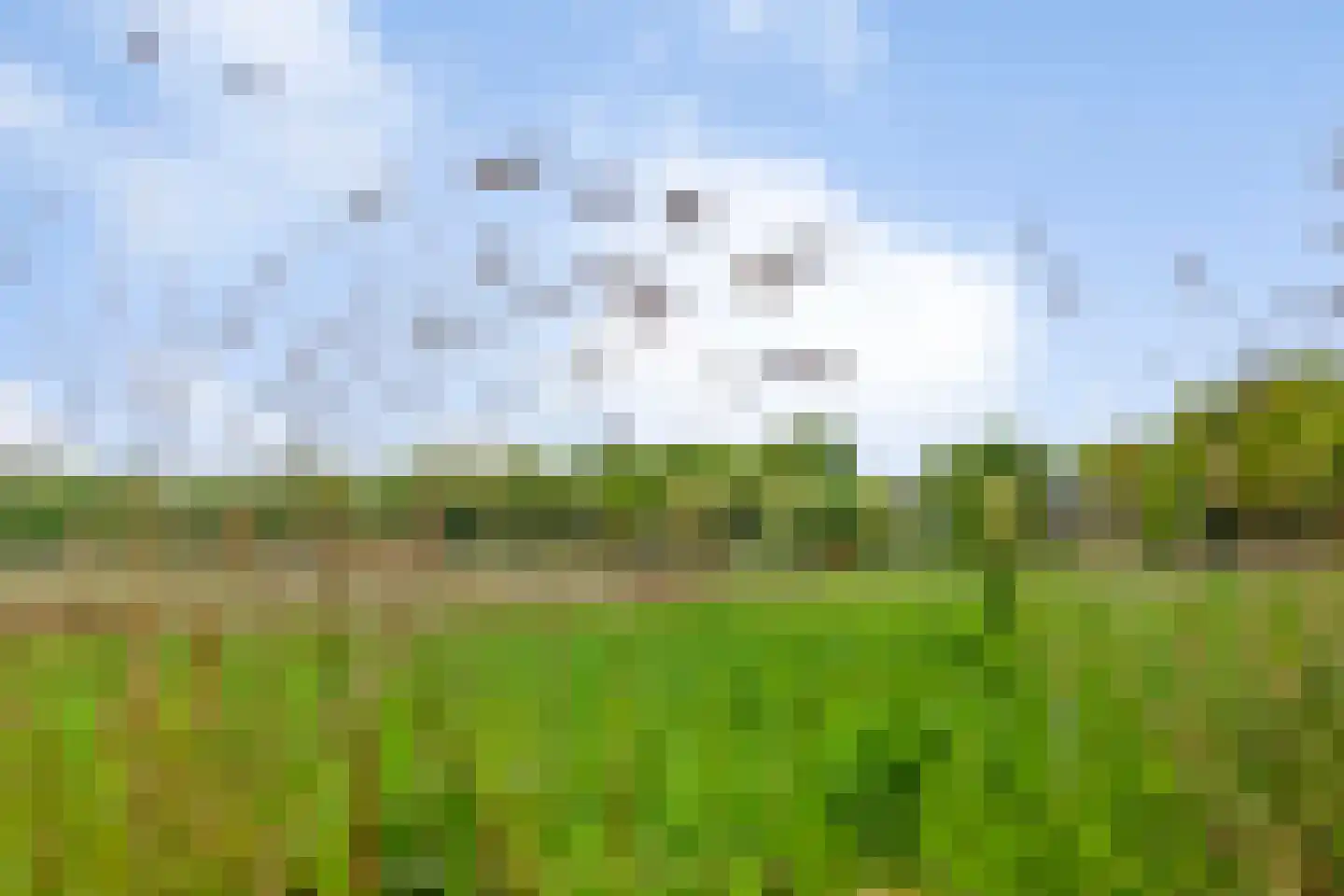 Hazenputten 17 Sint-Oedenrode thumbnail 42