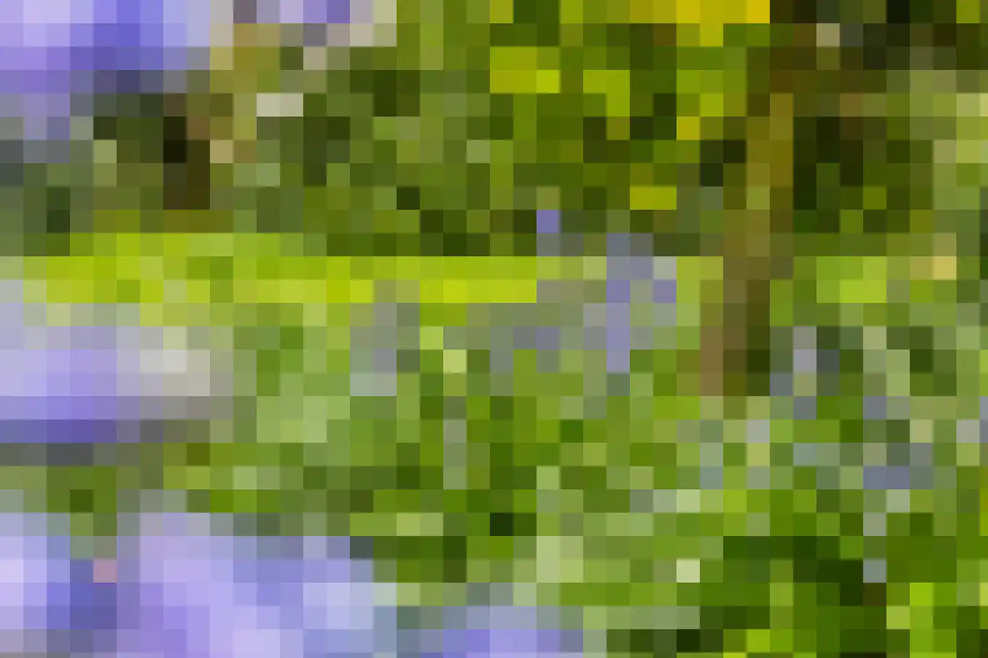 Hazenputten 17 Sint-Oedenrode thumbnail 43