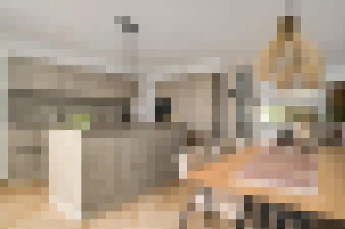 Hazensteerten 5 Herten thumbnail 15
