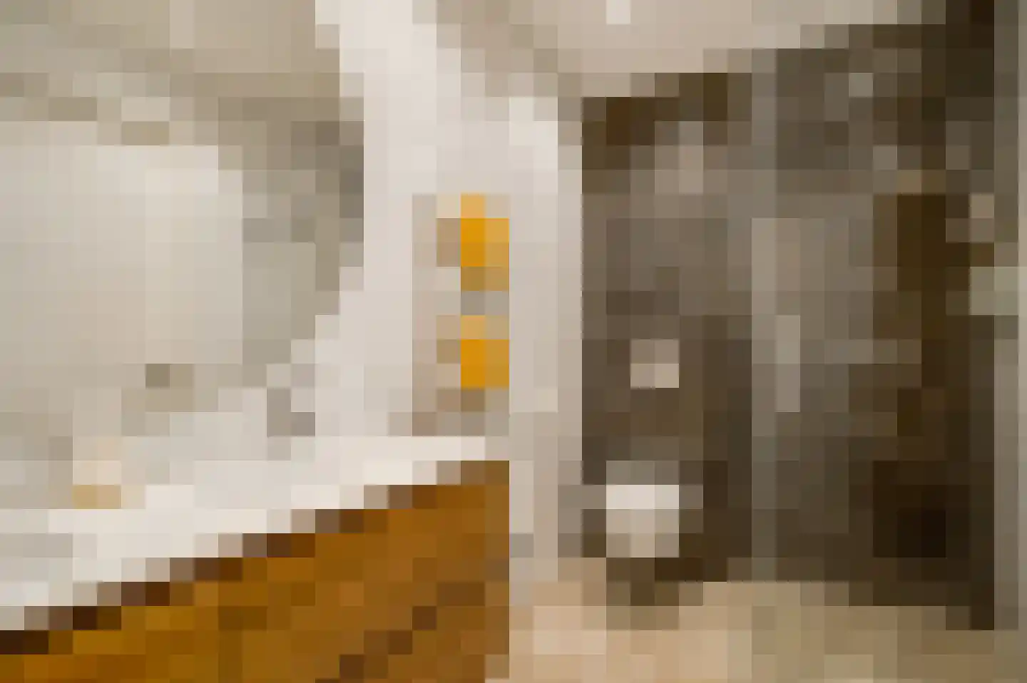 Hazensteerten 5 Herten thumbnail 24