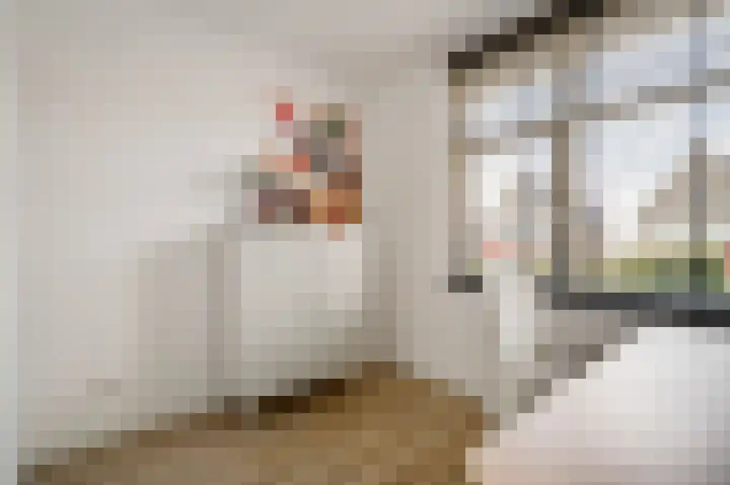 Hazensteerten 5 Herten thumbnail 27