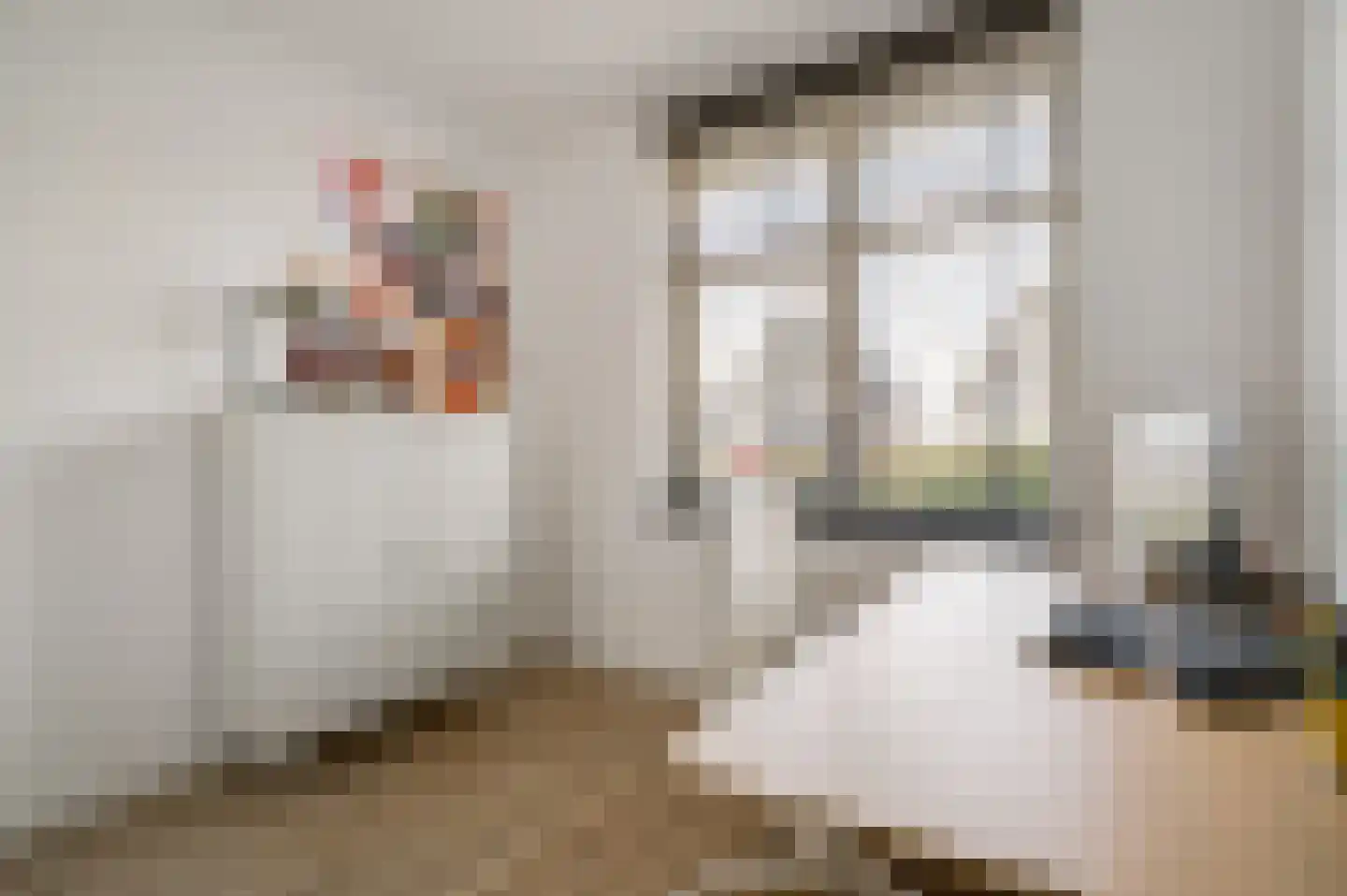 Hazensteerten 5 Herten thumbnail 28
