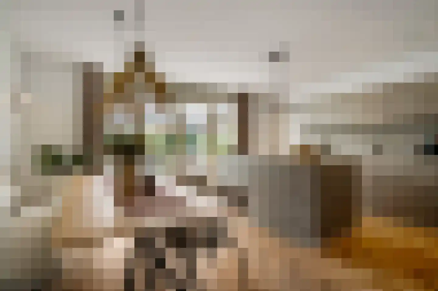 Hazensteerten 5 Herten foto 3