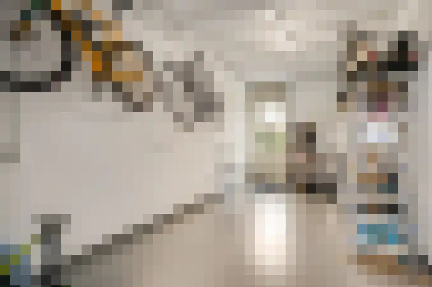 Hazensteerten 5 Herten thumbnail 44