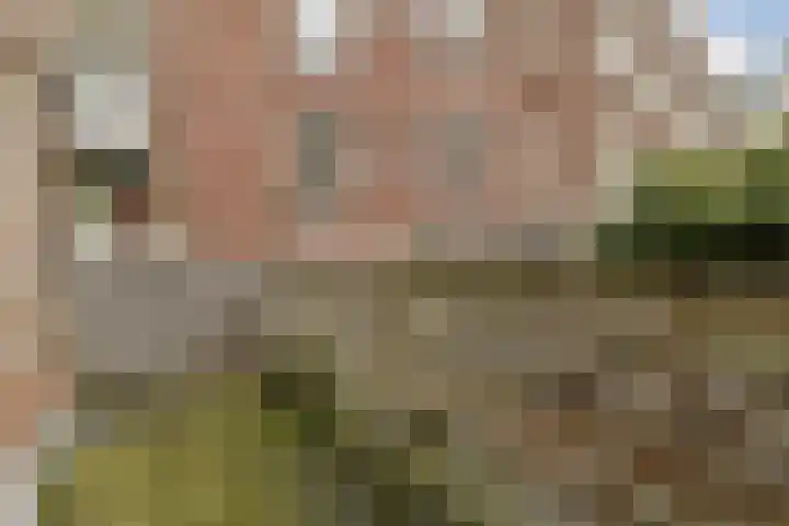 Hazenstraat 11 2 Amsterdam thumbnail 17