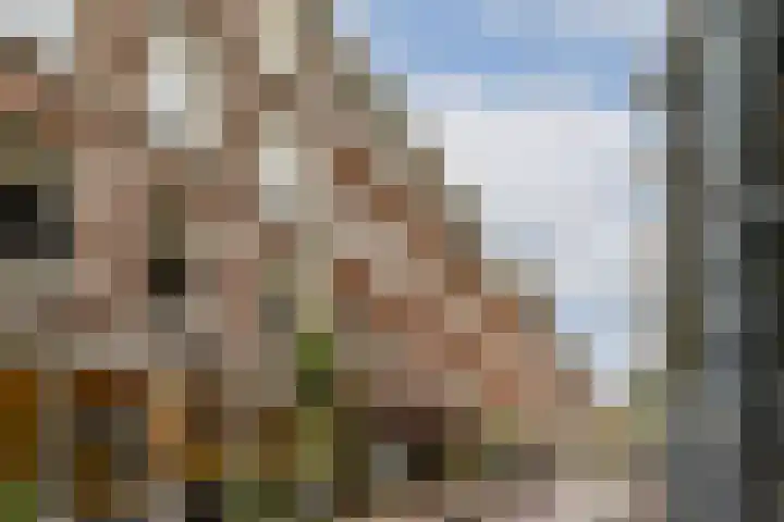 Hazenstraat 11 2 Amsterdam thumbnail 20