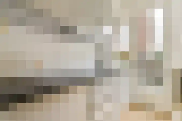 Hazenstraat 11 2 Amsterdam thumbnail 9