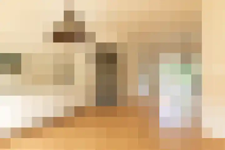 Hazenstraat 12 Hilversum thumbnail 11