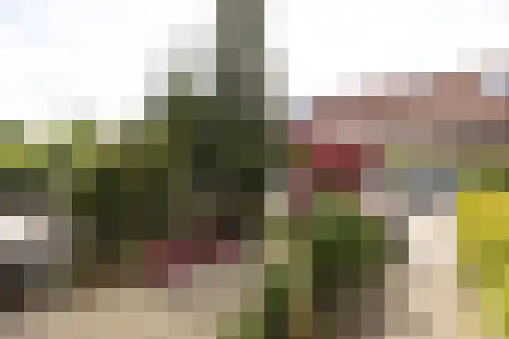 Hazenstraat 12 Hilversum thumbnail 4