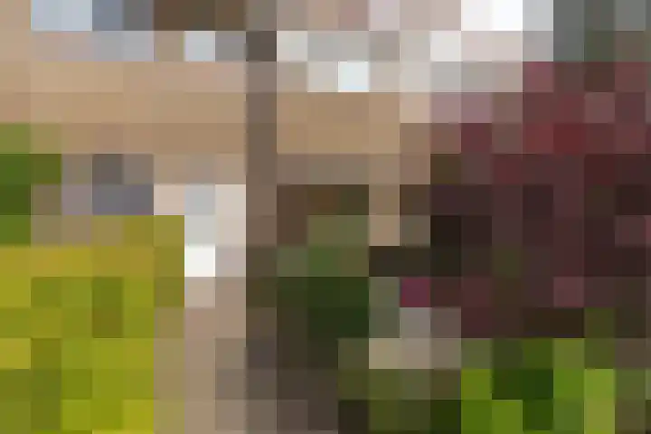 Hazenstraat 12 Hilversum thumbnail 7