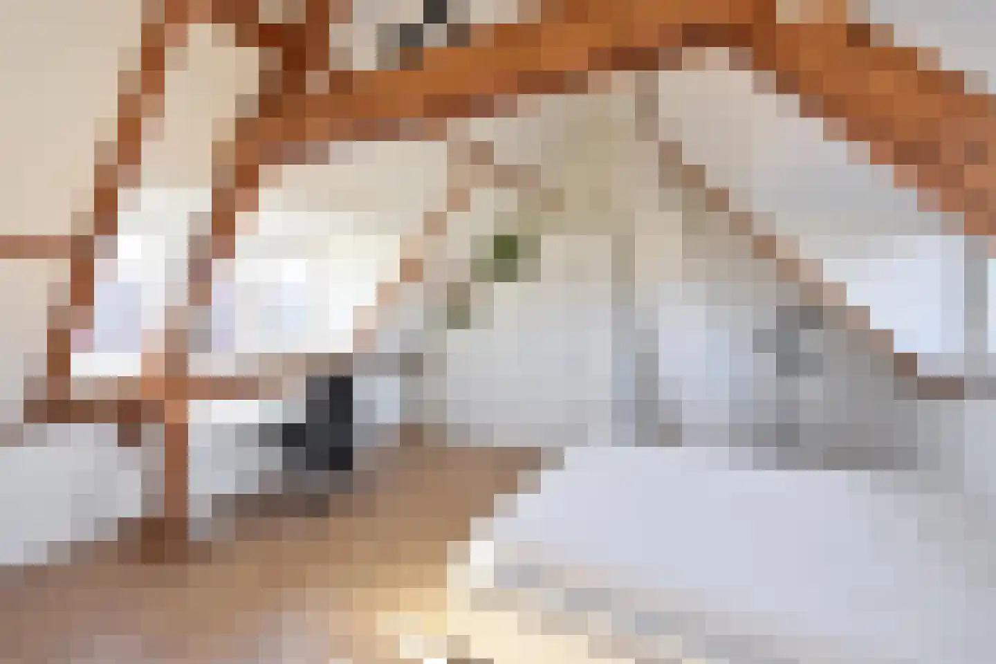 Hazenstraat 15 Hilversum thumbnail 14