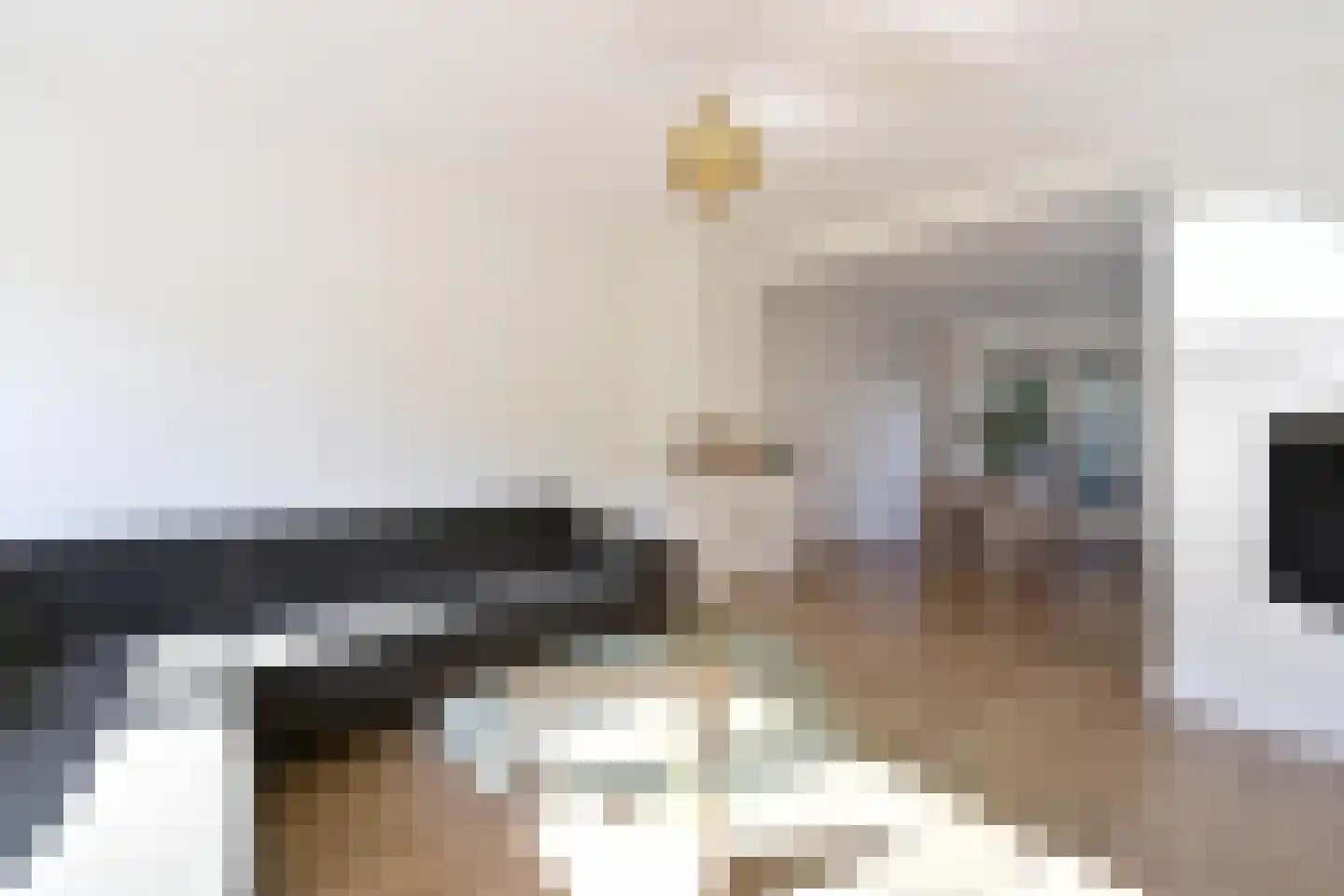 Hazenstraat 15 Hilversum thumbnail 4