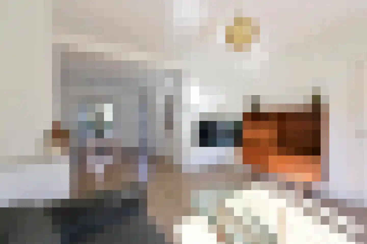 Hazenstraat 15 Hilversum thumbnail 5