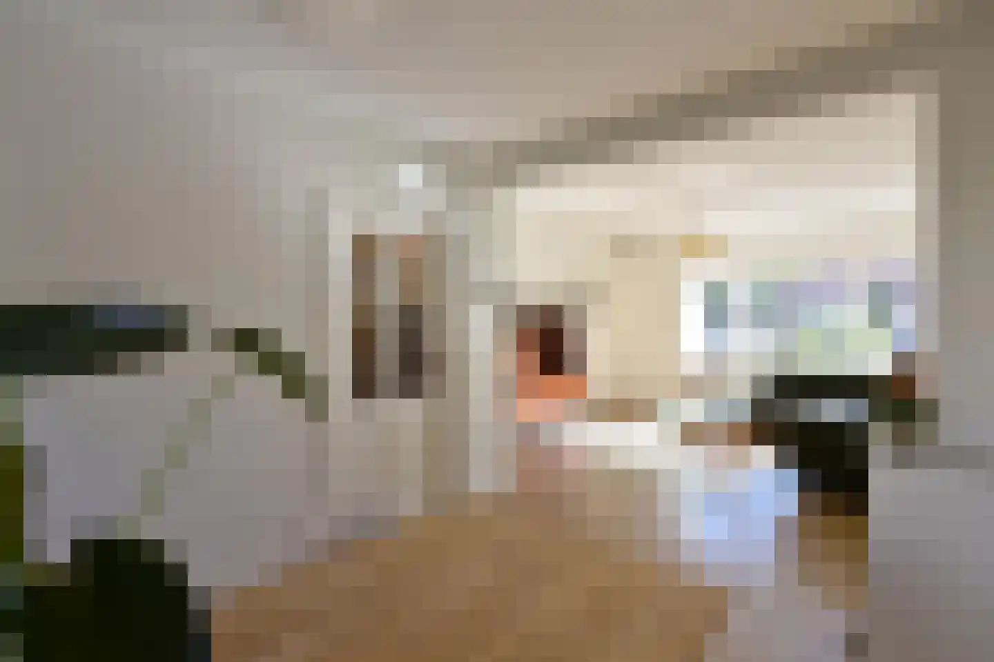 Hazenstraat 15 Hilversum thumbnail 6