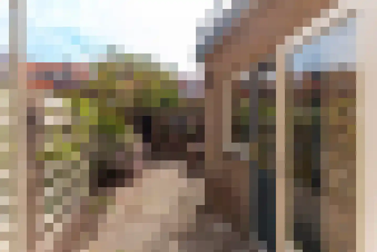 Hazenstraat 30 Hilversum thumbnail 30