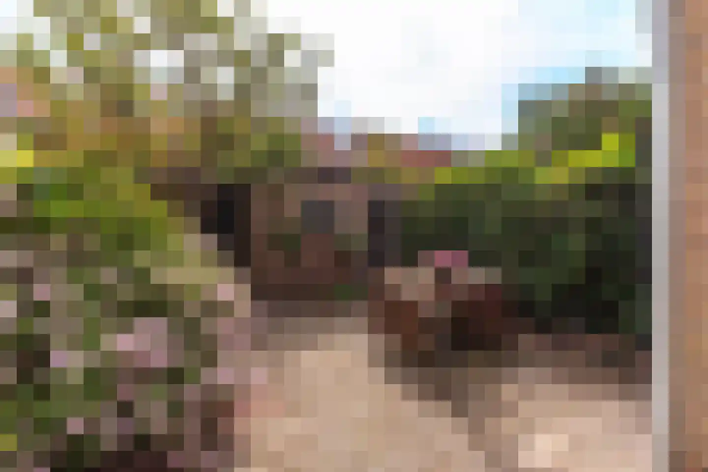 Hazenstraat 30 Hilversum thumbnail 31
